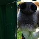 Image for article titled How to Take Better Photos With Your Smartphone